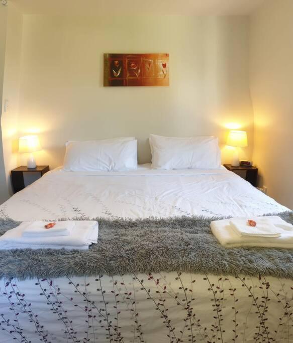 Central Cozy House - 10 Min Walk To Town Queenstown Ngoại thất bức ảnh